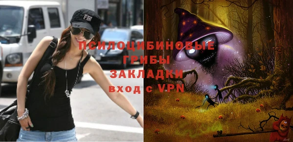 ПСИЛОЦИБИНОВЫЕ ГРИБЫ Армянск