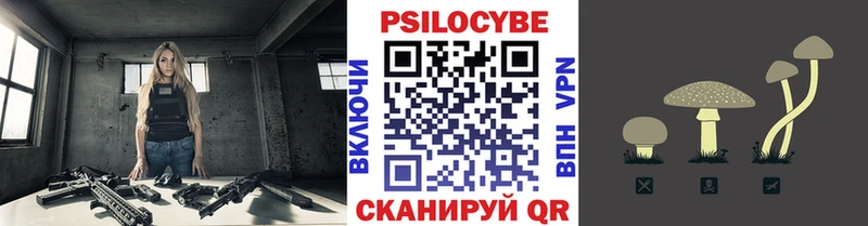 Псилоцибиновые грибы Cubensis  Пугачёв 